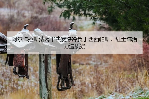 a-er-ka-la-si-fa-wang-ban-jue-sai-bao-leng-fu-yu-xi-xi-pa-si-hong-tu-tong-zhi-li-zao-zhi-yi-2-279.jpg