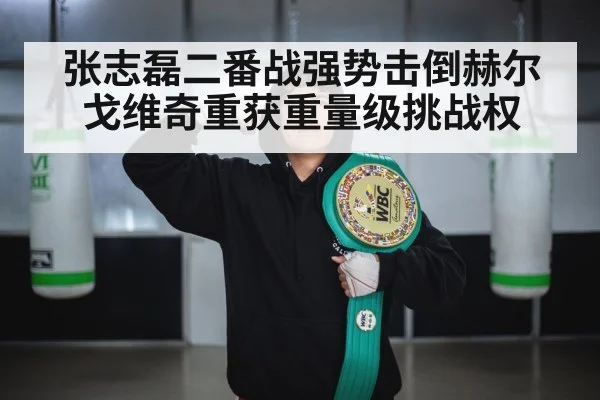 张志磊二番战强势击倒赫尔戈维奇重获重量级挑战权