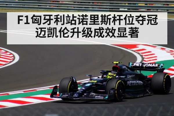 F1匈牙利站诺里斯杆位夺冠 迈凯伦升级成效显著