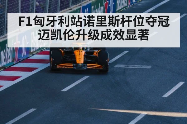 Lando Norris McLaren victory